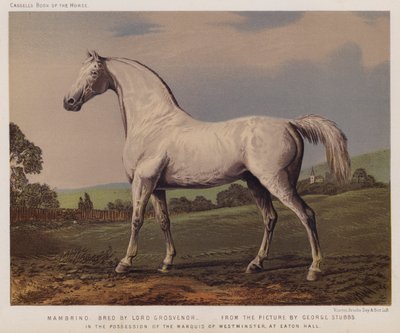 Nambrino, Lord Grosvenor tarafından yetiştirildi, Westminster Markisinin Mülkiyetinde, Eaton Salonu