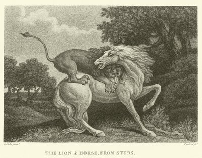 Aslan ve At, Stubs