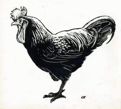 Tavuk, 1950