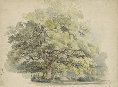 Ağaç çalışması by George Andries Roth