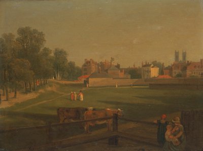 Mill House'dan Westminster ve Bird Cage Walk'un bir kısmının Batılı Görünümü..., by George Arnald