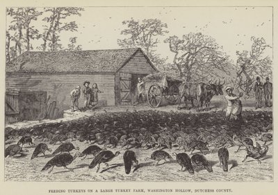 Hindileri Büyük Bir Hindi Çiftliğinde Beslemek, Washington Hollow, Dutchess County by George Augustus Sala