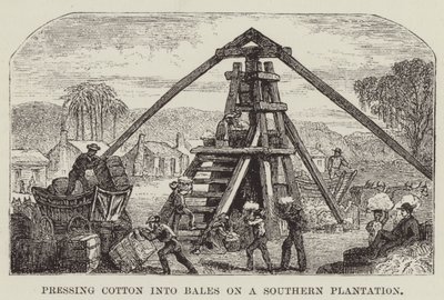 Güney Ovasında Pamuğun Balya Haline Preslenmesi by George Augustus Sala