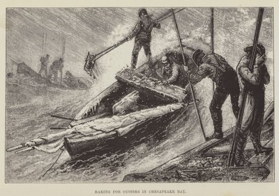 Chesapeake Körfezi