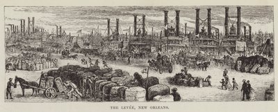 Levee, New Orleans by George Augustus Sala