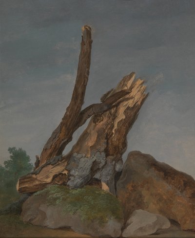 Kayalar ve Dallar Çalışması by George Augustus Wallis