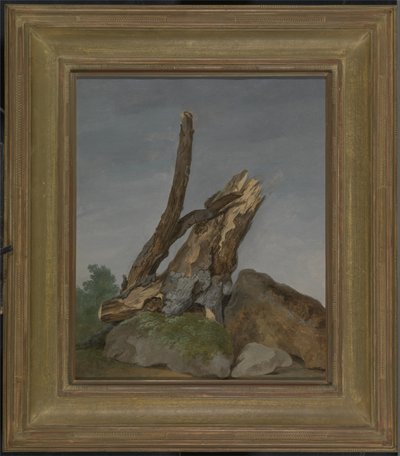 Kayalar ve Dallar Çalışması, c.1795 (kağıt üzerine yağlı boya) by George Augustus Wallis