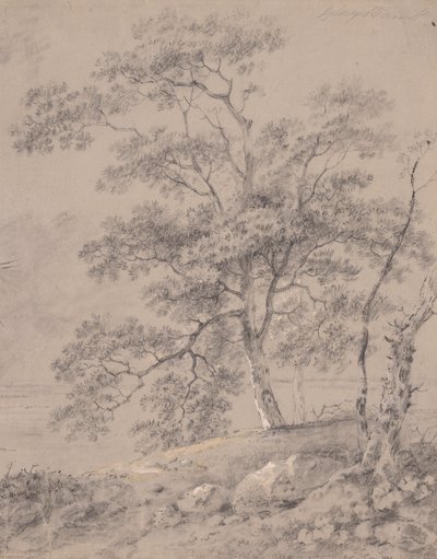 Ağaç Çalışması by George Barret