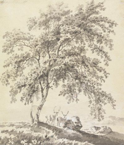 Geyiklerle Ağaç Çalışması (Peyzaj) by George Barret