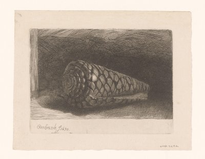 Deniz kabuğu by George Bickham (II)