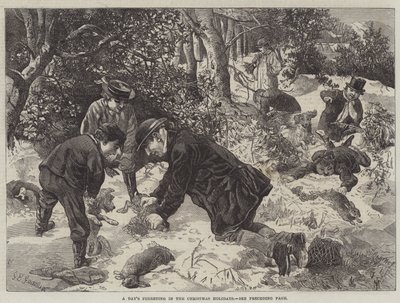 Noel Tatillerinde Bir Gün Gelincik by George Bouverie Goddard