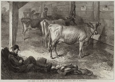 Southampton'daki Bath ve West of England Tarım Fuarı'nda Jersey İnekleri Ödülü by George Bouverie Goddard