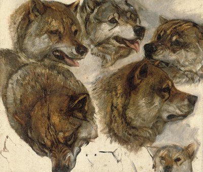 Dış yapraklar çalışmaları" kafaları by George Bouverie Goddard