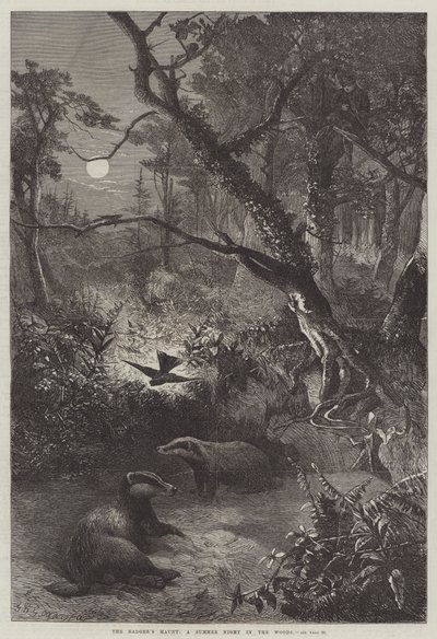 Porsuk Perisi, Ormanda Bir Yaz Gecesi by George Bouverie Goddard