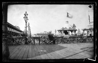 Cables and Iron Cow, Coney Island, Brooklyn, c.1872-87 (ıslak-kolodion negatif) by George Bradford Brainerd