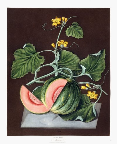 Kabak, 1812 by George Brookshaw