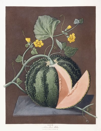 Silver Rock Kavun, 1812 by George Brookshaw