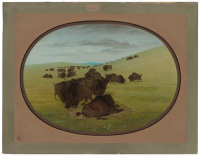 Bir Bufalo Yuvası by George Catlin
