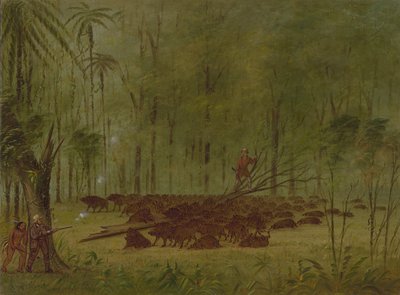 Peccaries ile Bir Dövüş - Caribbe, 18541869. by George Catlin