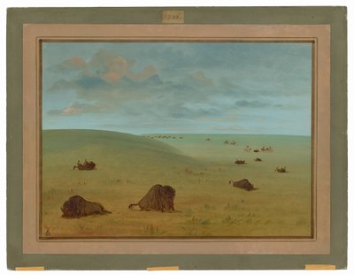 Buffalo Chase