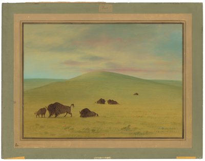 Amerikan Otlakları - Platte Çayırları by George Catlin