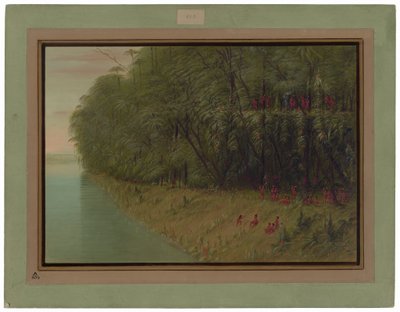 Bir Amazon Ormanı - Karaya Bakmak by George Catlin