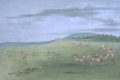 Antilop Atışı, Tuzağa Düşürülmüş by George Catlin
