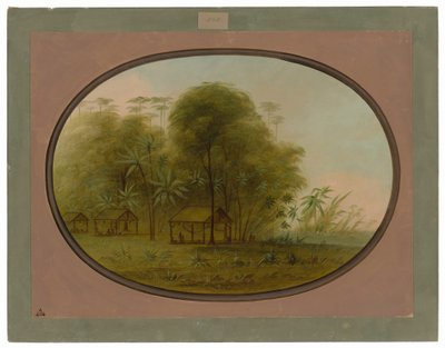 Arowak Köyü by George Catlin
