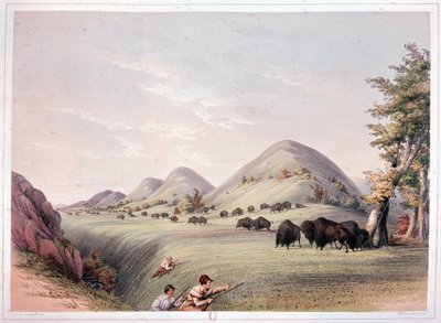 bizon avı by George Catlin