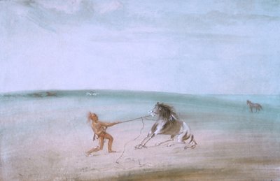 Vahşi Atı Yıkmak by George Catlin