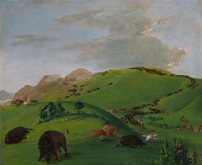 Buffalo Chase, Yellowstone