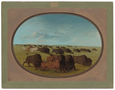 Buffalo Chase, Kazalarla by George Catlin