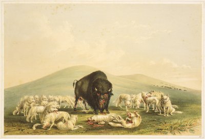  by George Catlin