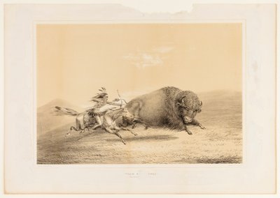 Bufalo Avı, Takip--no. 5 by George Catlin