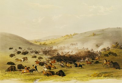 Bufalo Avı, Surround, c.1832 by George Catlin
