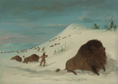 Kar Driftlerinde Buffalo Lancing - Sioux, 18611869. by George Catlin