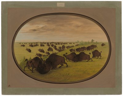 boğa güreşi by George Catlin