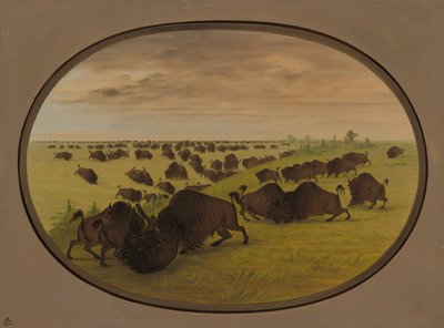 Boğa Dövüşü, 18611869. by George Catlin