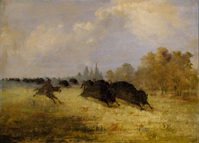  by George Catlin
