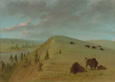 Sedir Bluffs, 18611869. by George Catlin