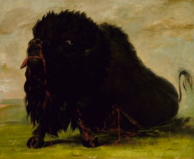 Ölen Bufalo, Okla Vurulmuş, 1832-1833. by George Catlin
