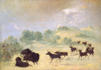  by George Catlin