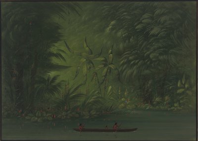 Bir Lagünün Girişi, Amazon Kıyısı, 18541869. by George Catlin