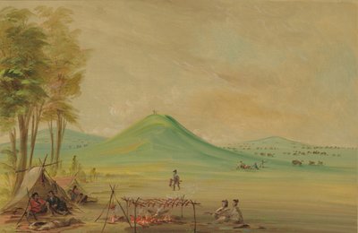 Expedition, Texas Prairie
