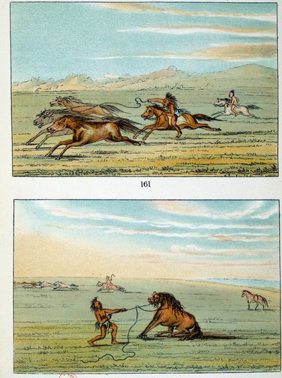 Amerika Kızılderilileri: Vahşi atlar nasıl yakalanır. George Catlin