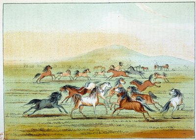 Amerika Kızılderilileri: Kızılderililer tarafından avlanan vahşi atlar. George Catlin