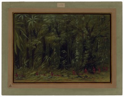 Bir Amazon Ormanının İçi - Zurumati by George Catlin