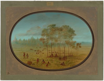 Kiowa Kızılderilileri Yabani Üzüm Toplama by George Catlin