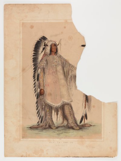 Mah-to-toh-pa, Mandan Şefi by George Catlin