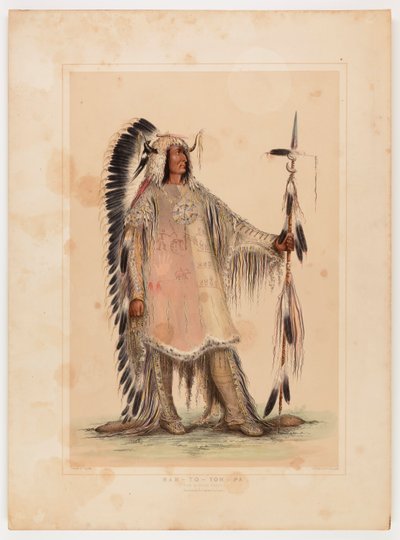 Mah-to-toh-pa, Mandan Şefi by George Catlin
